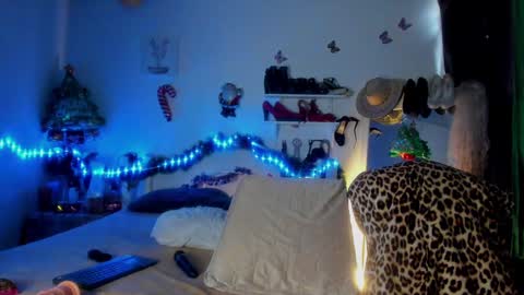 shera hade online show from December 2024 12:35:01 PM