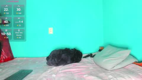 shera hade online show from November 2025 05:24:01 PM