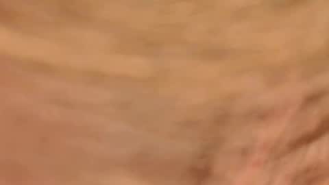 sherbearxrayghost online show from July 2026 02:59:01 PM
