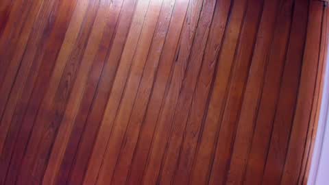 mia online show from January 2025 02:13:01 PM