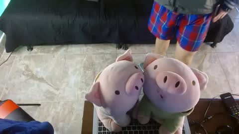  .. shinobi .. online show from January 2025 03:55:02 PM