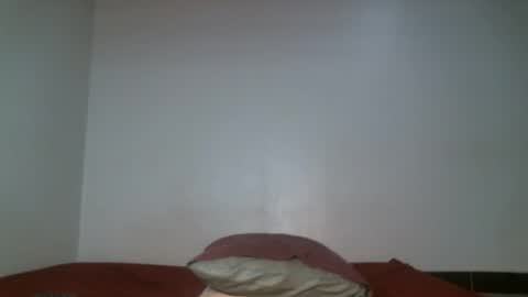 Snapshot of shiro254 chatting on May 2026 11:49:01 AM Shi-ro online show from May 2026 11:49:01 AM