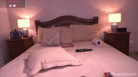 Snapshot of shopieshine chatting on November 2025 05:55:02 PM Sophie online show from November 2025 05:55:02 PM