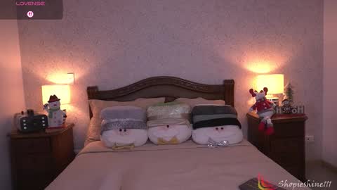 Snapshot of shopieshine chatting on December 2025 01:46:02 AM Sophie online show from December 2025 01:46:02 AM