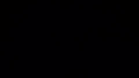 Thebull5  online show from February 2026 11:09:02 AM