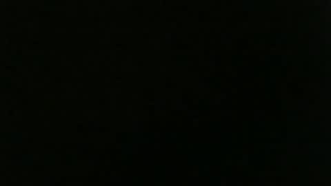 Owner needed online show from January 2026 09:46:02 AM