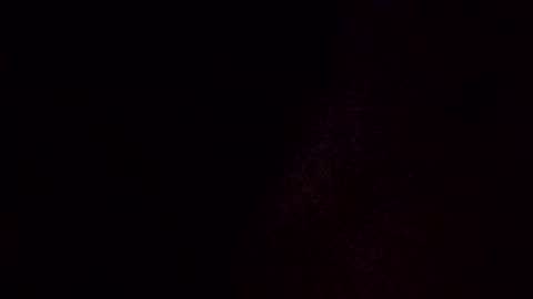 showstper online show from November 2025 04:22:01 AM