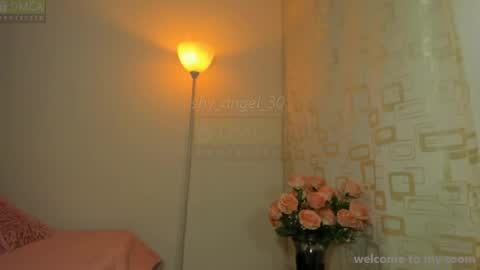 Snapshot of shy_angel_30 chatting on August 2026 06:21:01 PM Angel online show from August 2026 06:21:01 PM