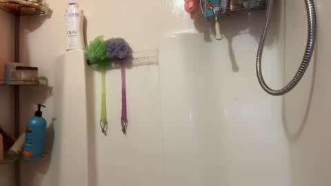 Snapshot of shyg1r1 chatting on January 2025 10:56:02 PM Sasha online show from January 2025 10:56:02 PM