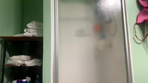 Snapshot of shyg1r1 chatting on March 2025 12:20:01 AM Sasha online show from March 2025 12:20:01 AM