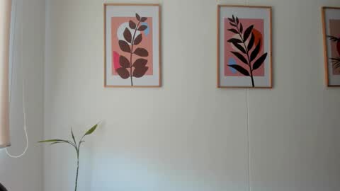 shylittlebunny online show from February 2026 02:33:01 PM