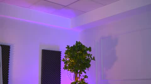 Sienna online show from February 2026 11:00:02 AM