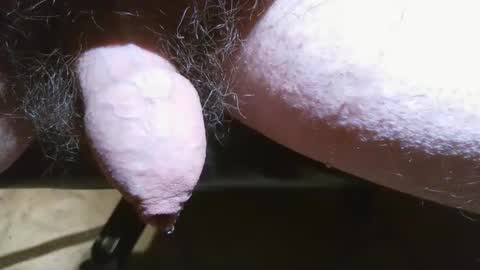 silented7 online show from March 2026 01:27:02 AM