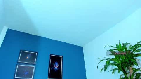 silvabranko online show from November 2025 01:04:02 AM