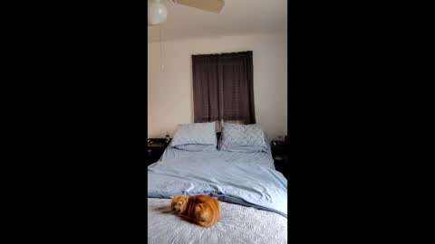 Snapshot of simplysarah1225 chatting on February 2026 04:24:02 PM simplysarah1225 online show from February 2026 04:24:02 PM