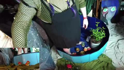Sinstress hemlock online show from April 2026 03:04:02 AM