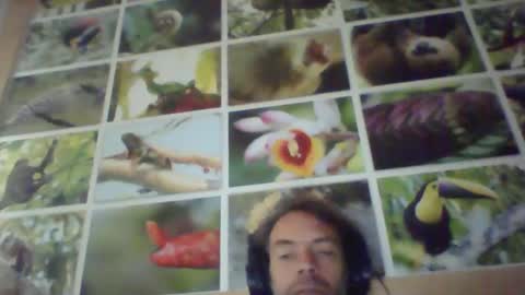 Snapshot of sji123 chatting on February 2025 06:06:02 AM sji123 online show from February 2025 06:06:02 AM