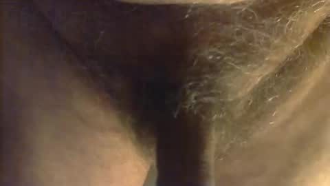 sjim368 online show from October 2025 12:28:02 PM