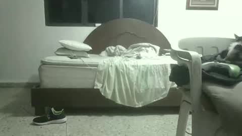 Snapshot of skanky_little_dolls chatting on November 2025 08:05:01 AM skanky_little_dolls online show from November 2025 08:05:01 AM