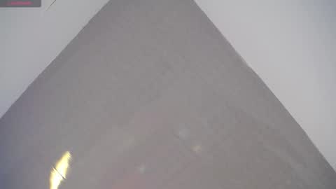 David online show from February 2026 02:26:01 PM