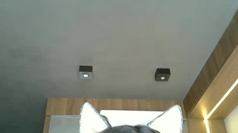 skinnykittencam online show from October 2025 05:13:02 PM