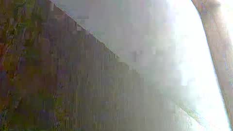 skinnykittencam online show from November 2025 01:55:01 PM