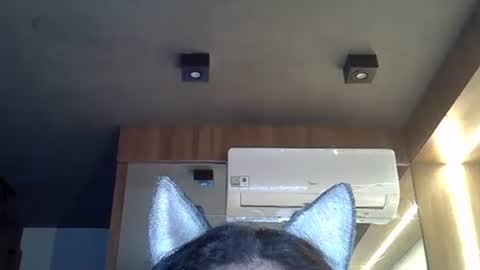 skinnykittencam online show from November 2025 08:46:02 AM
