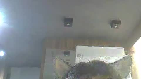 skinnykittencam online show from January 2026 03:01:02 AM