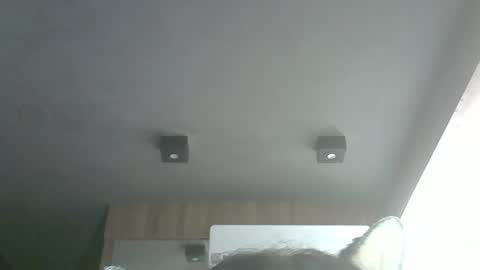 skinnykittencam online show from March 2026 04:34:02 AM