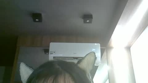 skinnykittencam online show from April 2026 03:38:02 PM