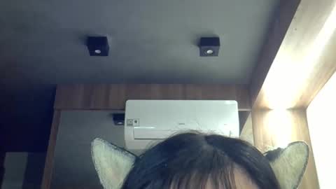 skinnykittencam online show from April 2026 02:14:01 AM