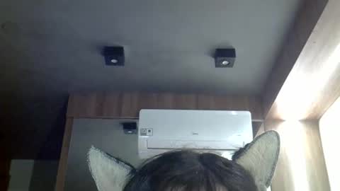 Snapshot of skinnykittencam chatting on May 2026 03:07:02 PM skinnykittencam online show from May 2026 03:07:02 PM