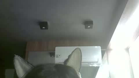 Snapshot of skinnykittencam chatting on May 2026 06:51:02 AM skinnykittencam online show from May 2026 06:51:02 AM