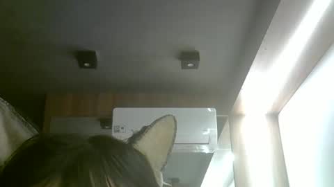 Snapshot of skinnykittencam chatting on May 2026 08:47:01 PM skinnykittencam online show from May 2026 08:47:01 PM
