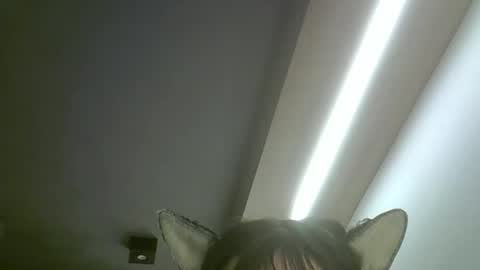 Snapshot of skinnykittencam chatting on May 2026 02:18:02 AM skinnykittencam online show from May 2026 02:18:02 AM