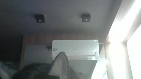 Snapshot of skinnykittencam chatting on May 2026 04:01:02 PM skinnykittencam online show from May 2026 04:01:02 PM