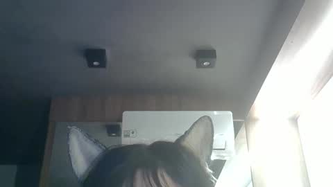 Snapshot of skinnykittencam chatting on May 2026 09:38:02 AM skinnykittencam online show from May 2026 09:38:02 AM