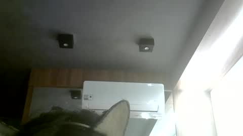 Snapshot of skinnykittencam chatting on May 2026 08:21:02 PM skinnykittencam online show from May 2026 08:21:02 PM