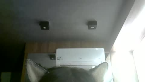 Snapshot of skinnykittencam chatting on June 2026 04:20:02 PM skinnykittencam online show from June 2026 04:20:02 PM