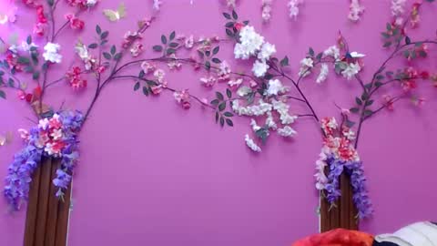 sofia online show from December 2025 01:16:02 PM