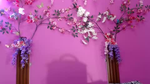 Snapshot of skinnysofia18 chatting on June 2026 02:01:01 PM sofia online show from June 2026 02:01:01 PM