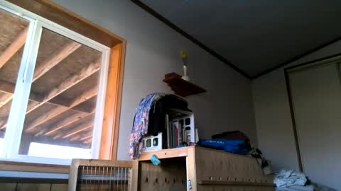 skinnystrong online show from January 2025 10:10:01 PM