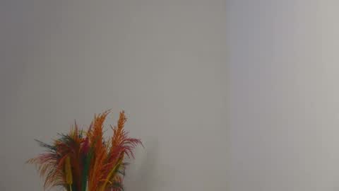 Snapshot of skyy_brown chatting on February 2025 03:38:01 PM Bella online show from February 2025 03:38:01 PM