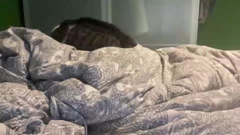 slice5 online show from December 2025 09:49:01 AM