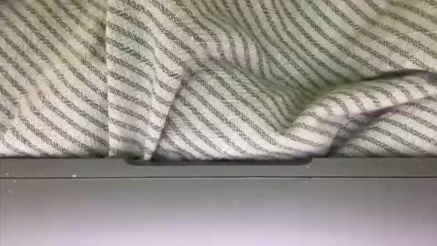 Snapshot of slice5 chatting on March 2026 09:36:02 AM slice5 online show from March 2026 09:36:02 AM