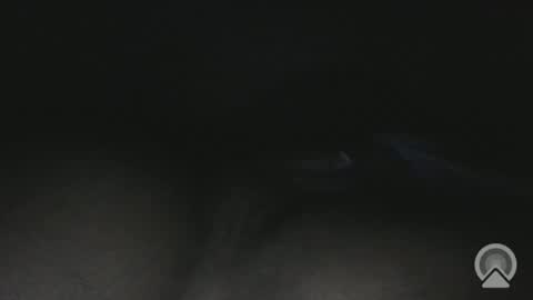 Slim online show from April 2026 04:17:01 AM