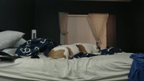 Snapshot of slimjp chatting on February 2026 02:26:01 AM slimjp online show from February 2026 02:26:01 AM