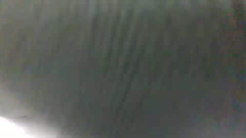 Snapshot of slothslav chatting on January 2025 10:10:01 AM slothslav online show from January 2025 10:10:01 AM