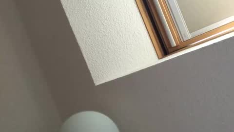 Bernd online show from September 2025 02:30:02 PM