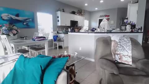 Daddy online show from December 2024 02:23:02 PM